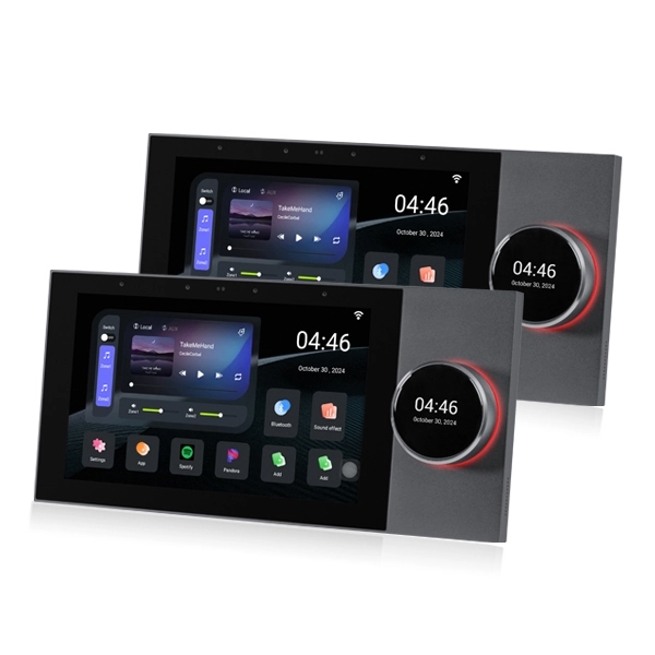 DSPPA DM-838T